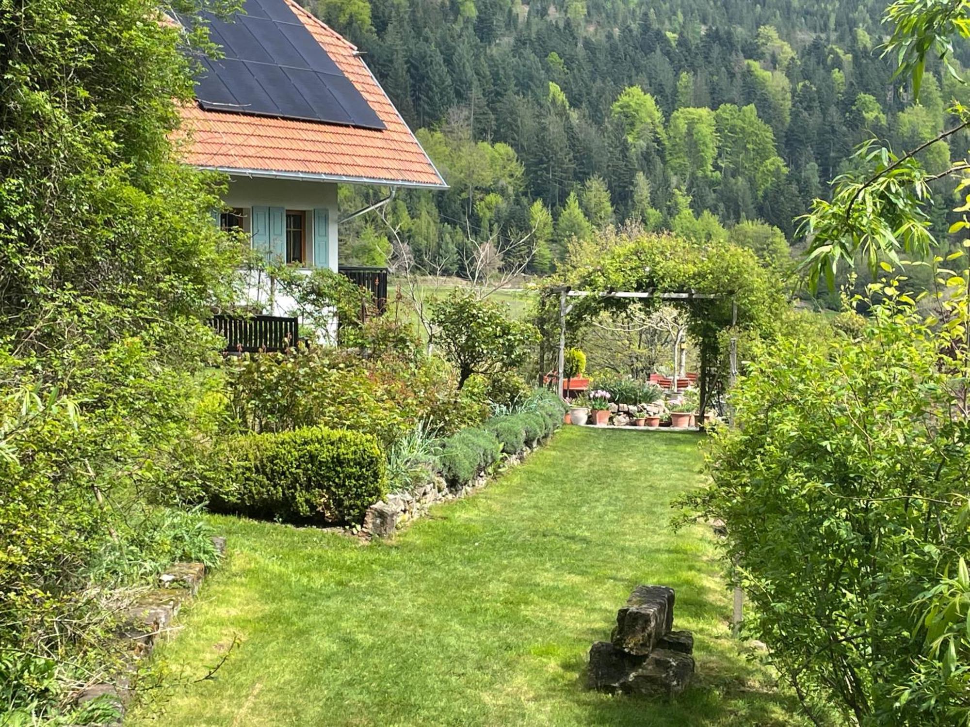 The Moosbach Garden Guest House Nordrach Exterior foto