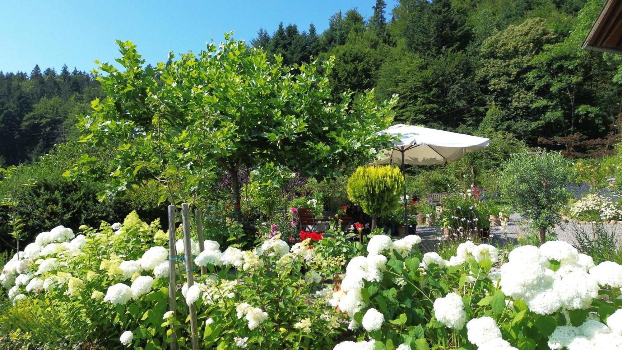 The Moosbach Garden Guest House Nordrach Exterior foto
